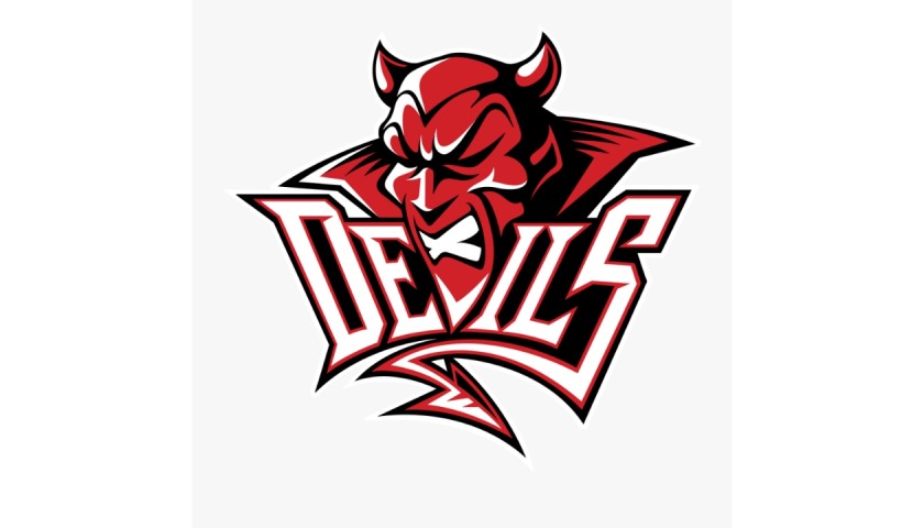 Cardiff Devils match Experience