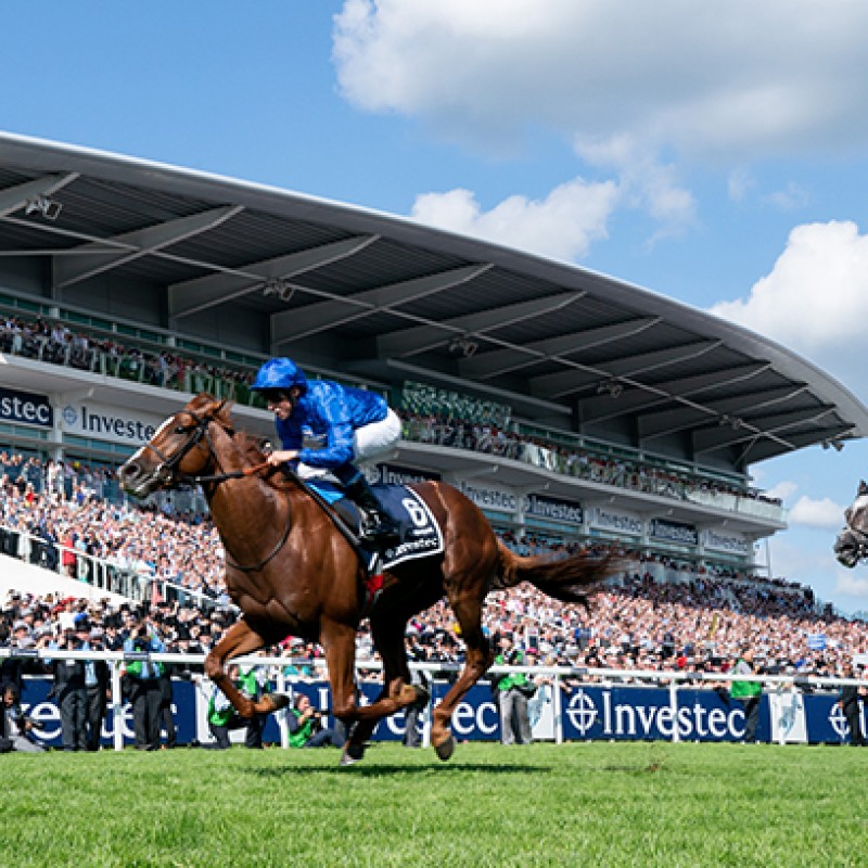 Dining Experience at a Jockey Club Racecourse Meeting for 4