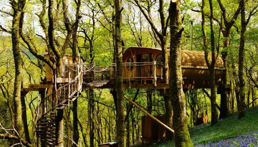 3-Night Tree House Escape for 2