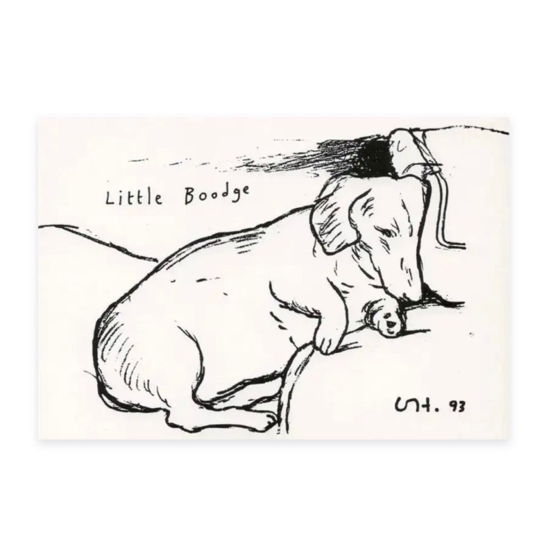 "Little Boodge" by David Hockney