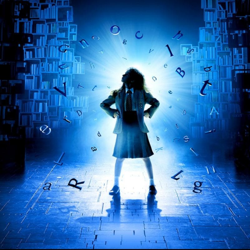 Family experience at Matilda  for 4 people