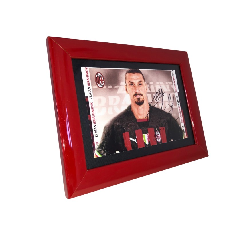 Photograph - Signed by Zlatan Ibrahimovic