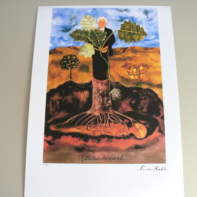 "Portrait of Luther Burbank" Offset Lithography by Frida Kahlo (replica)
