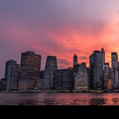 Food Bank for New York City 