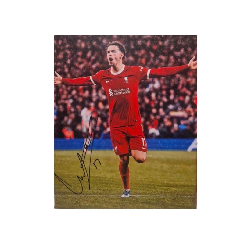 Curtis Jones Liverpool Signed 12 x 8 Canvas Picture