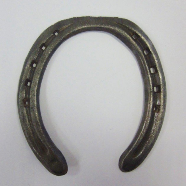 Horseshoe worn by Varenne - the greatest trotter of all time | Certificate of Authenticity
