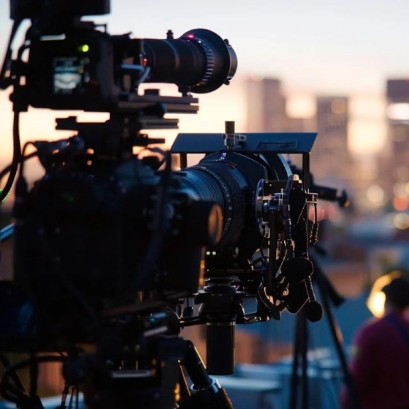 Pitch to Become a Hollywood Producer/Exec Partner for 2 Major Features via Zoom