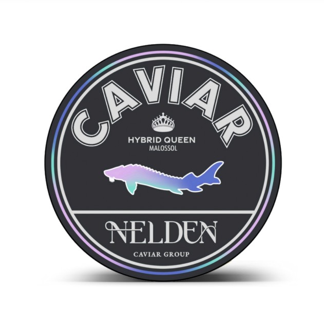 Nelden HYBRID QUEEN Caviar