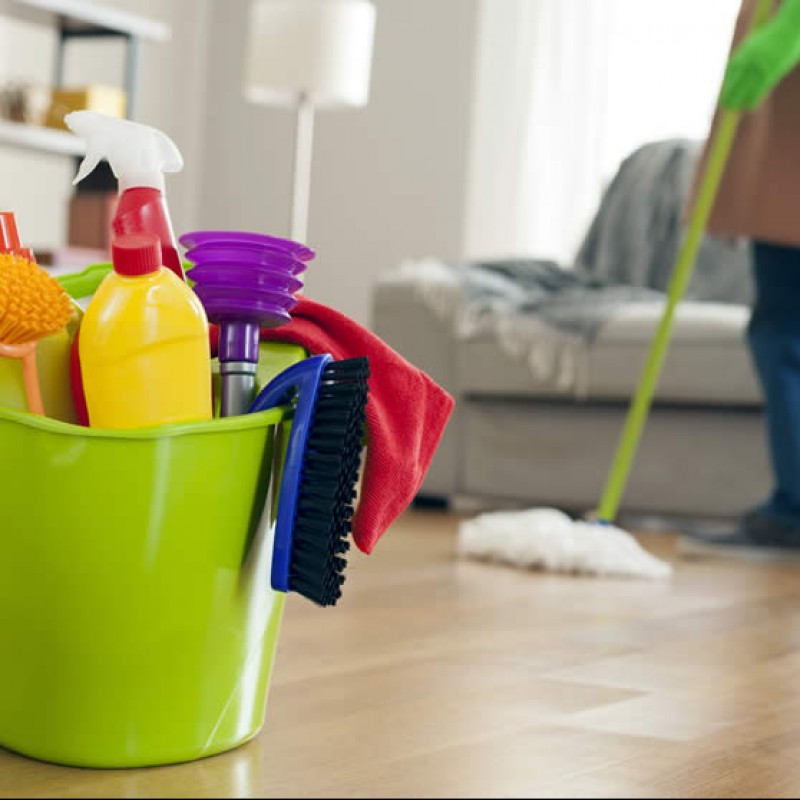 4-Hour Spring Cleaning by Domestic Management