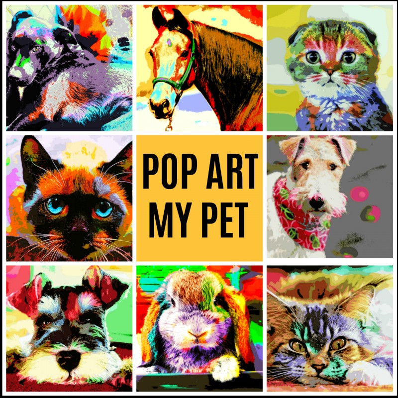 Pet Art With POP ART MY PET.co.uk