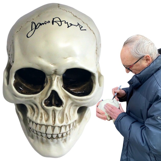 Skull signed by Dario Argento