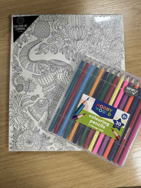 Elephant Colour-in Canvas and Pencils