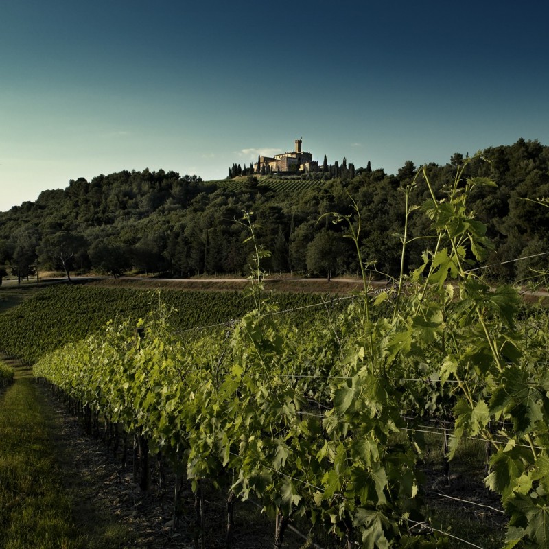 Tour of the Banfi Vineyard and Wine Tasting for Two 