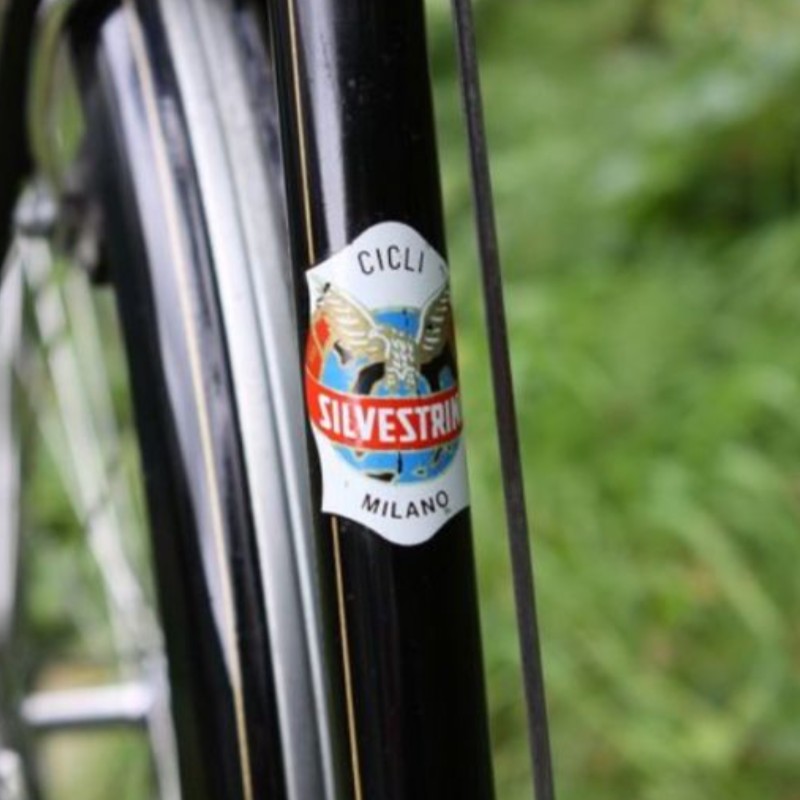 Silvestrini Biciclette – Bicicletta Classica da Uomo o da Donna