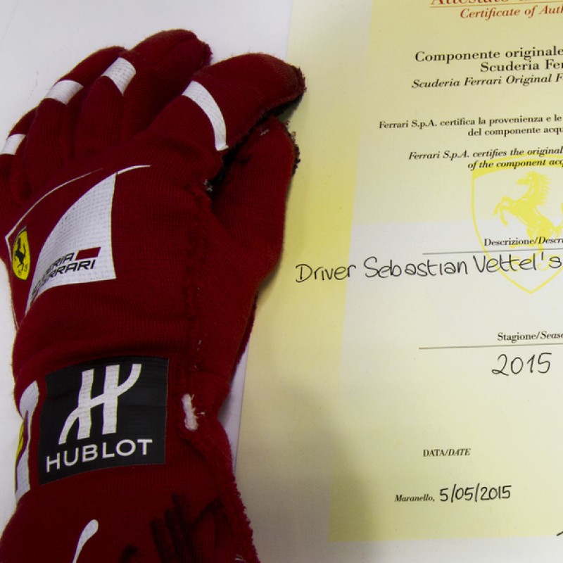 Sebastian Vettel signed gloves
