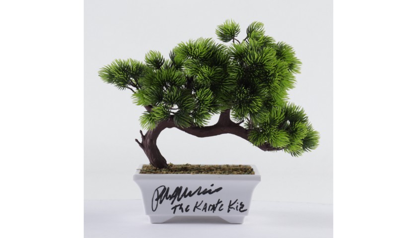 Ralph Macchio Signed "The Karate Kid" Replica Bonsai Tree