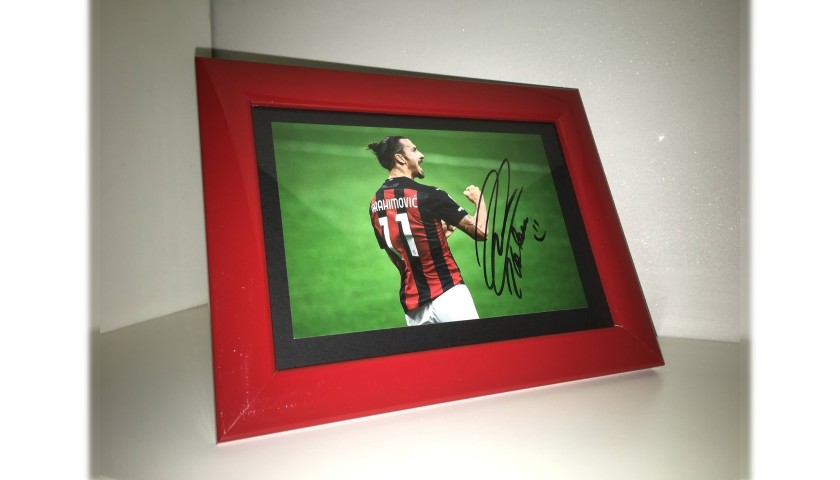 Fotografia autografata da Zlatan Ibrahimovic