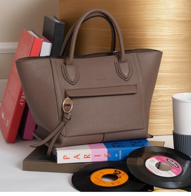 Mailbox Bag By Longchamp