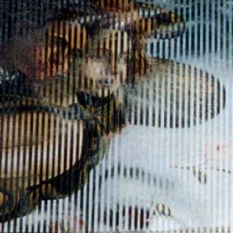 "Parabola. Venere di Botticelli e Marilyn" work, Malipiero
