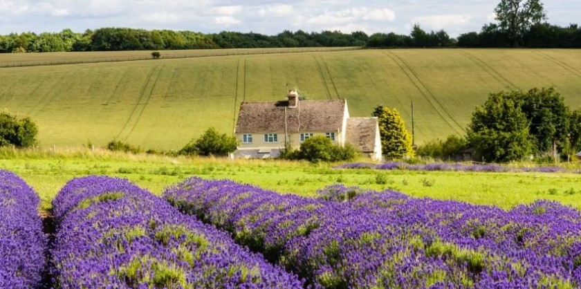 An Authentic Farm Stay in the Cotswolds for Eight with Private Chef and Pamper Session