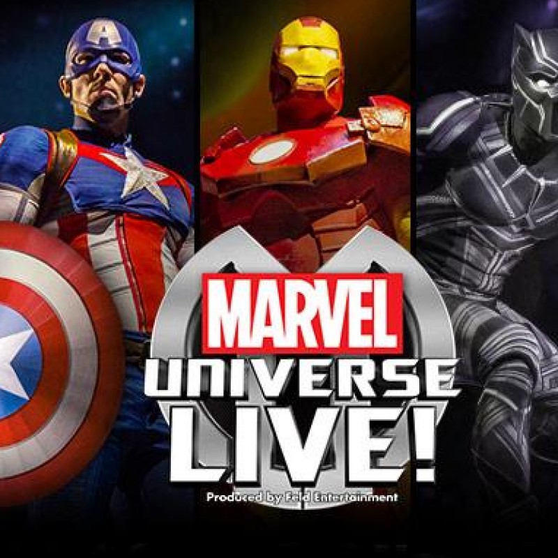 Private Box at Marvel Universe LIVE!