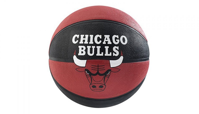 Chicago Bulls NBA Basketball 