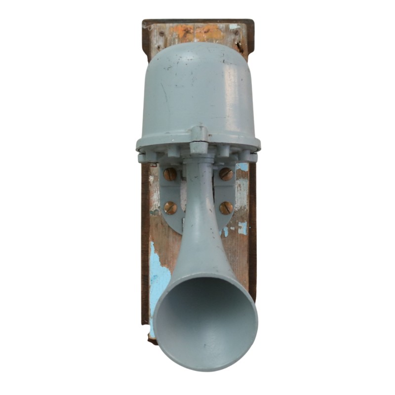 Grey Ship's Horn