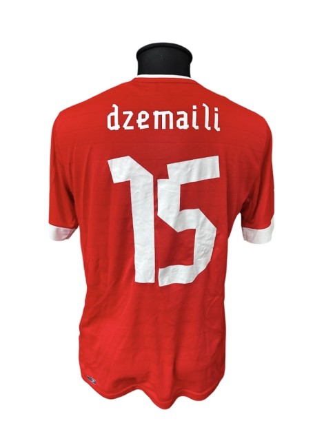 Maglia Indossata Dzemaili Svizzera, 2012/13