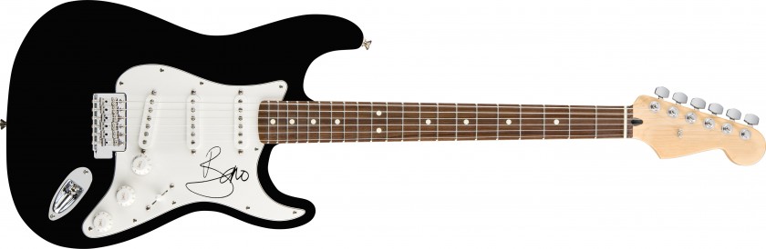 Bono Guitar with Digital Signature