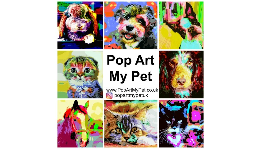 28 - POP ART MY PET Pet Photography Experience