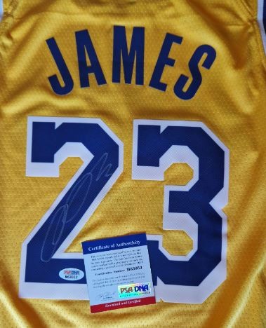 LeBron James 32x36 Custom Framed Jersey Display with Lakers Pin