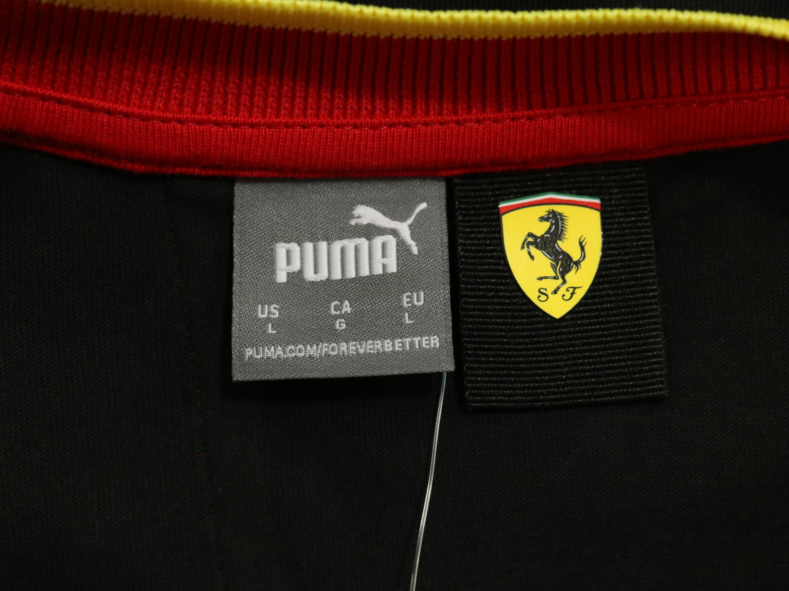 Scuderia Ferrari Official T-Shirt, Monza 2023 - Signed by Carlos Sainz ...