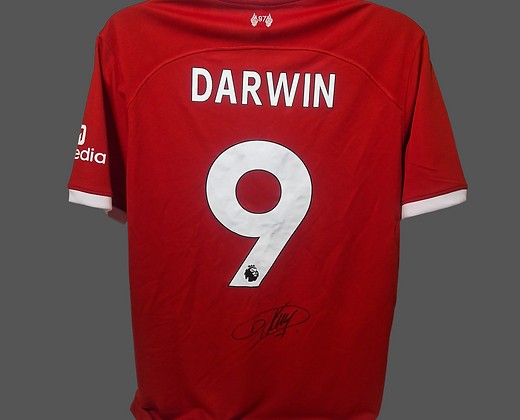 Darwin Núñez Liverpool 2023/24 Signed and Framed Shirt - CharityStars