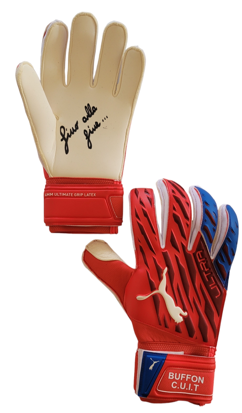 Buffon goalkeeper gloves online