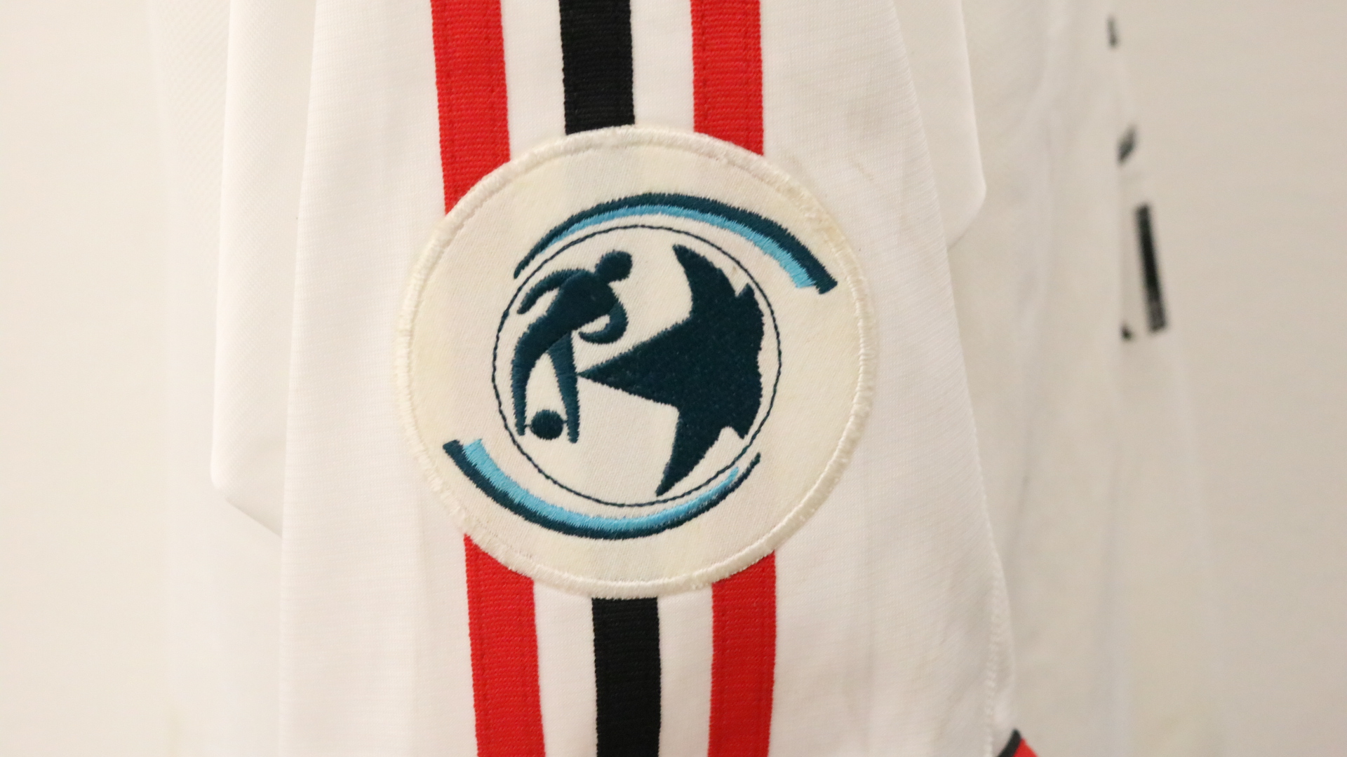 Shevchenko's Match-Issued/Worn Milan Shirt, Serie A 2001/02 CharityStars