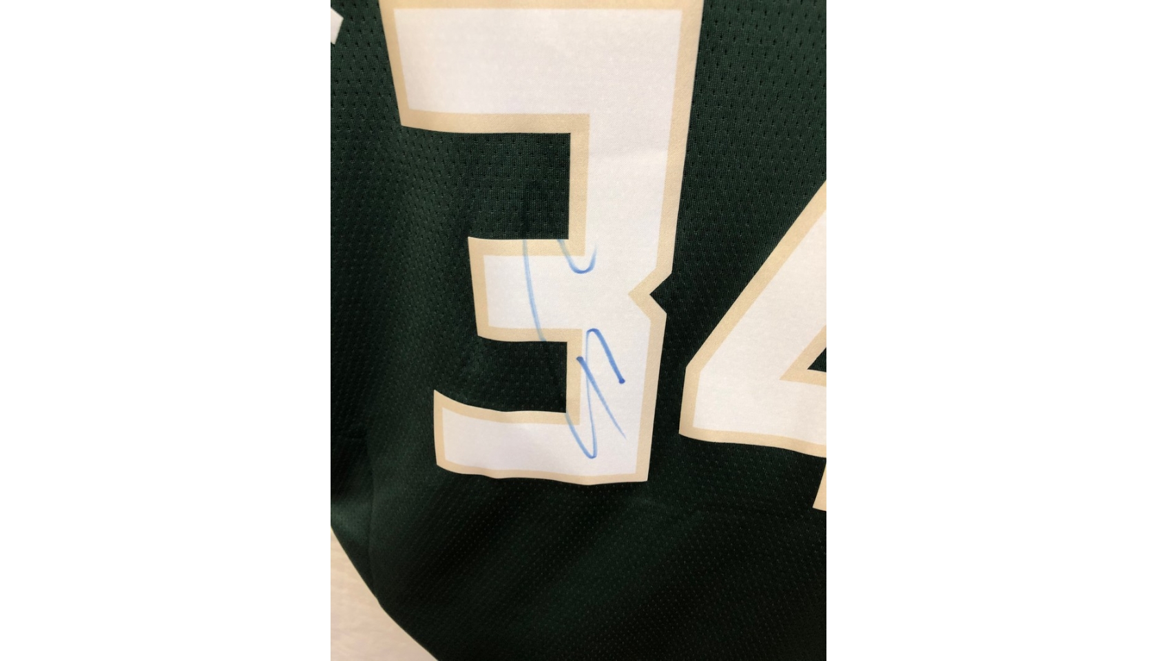 Giannis Antetokounmpo Signed Milwaukee Bucks NBA Jersey - CharityStars