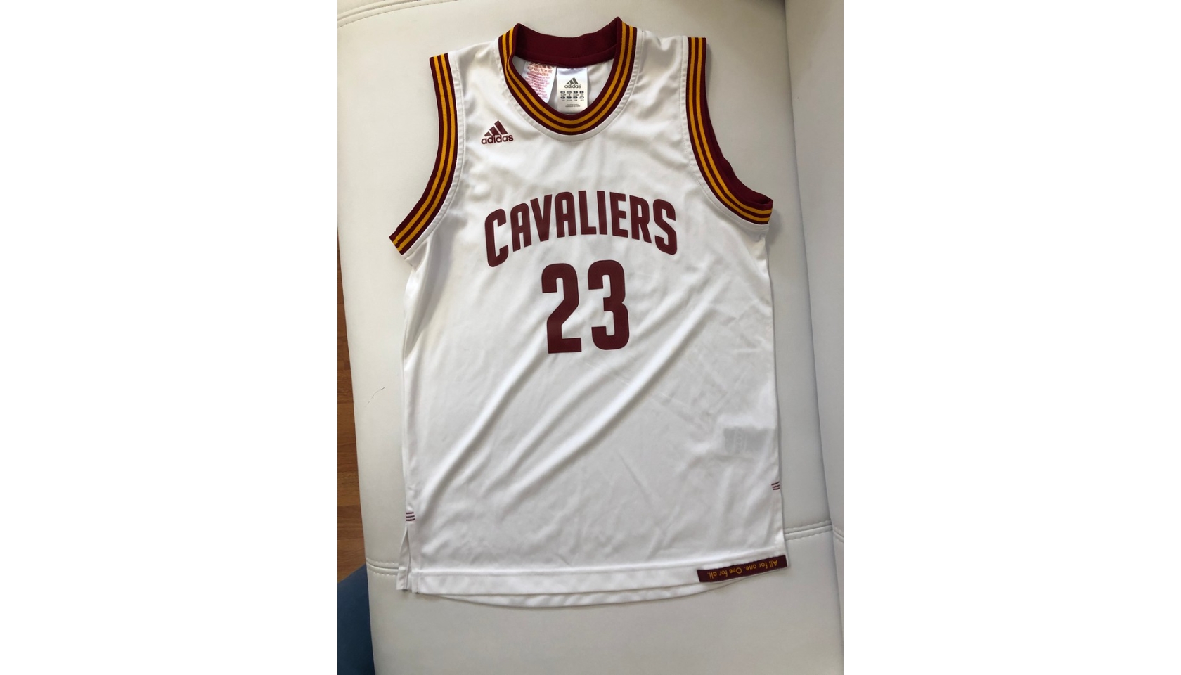 Lebron James' Official 2015 Cleveland Signed Jersey - CharityStars