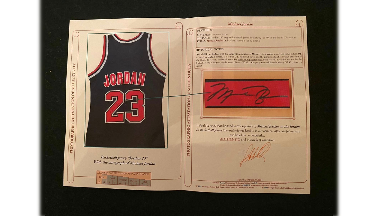 Jordan Official Chicago Bulls Jersey, 1994/95 - CharityStars