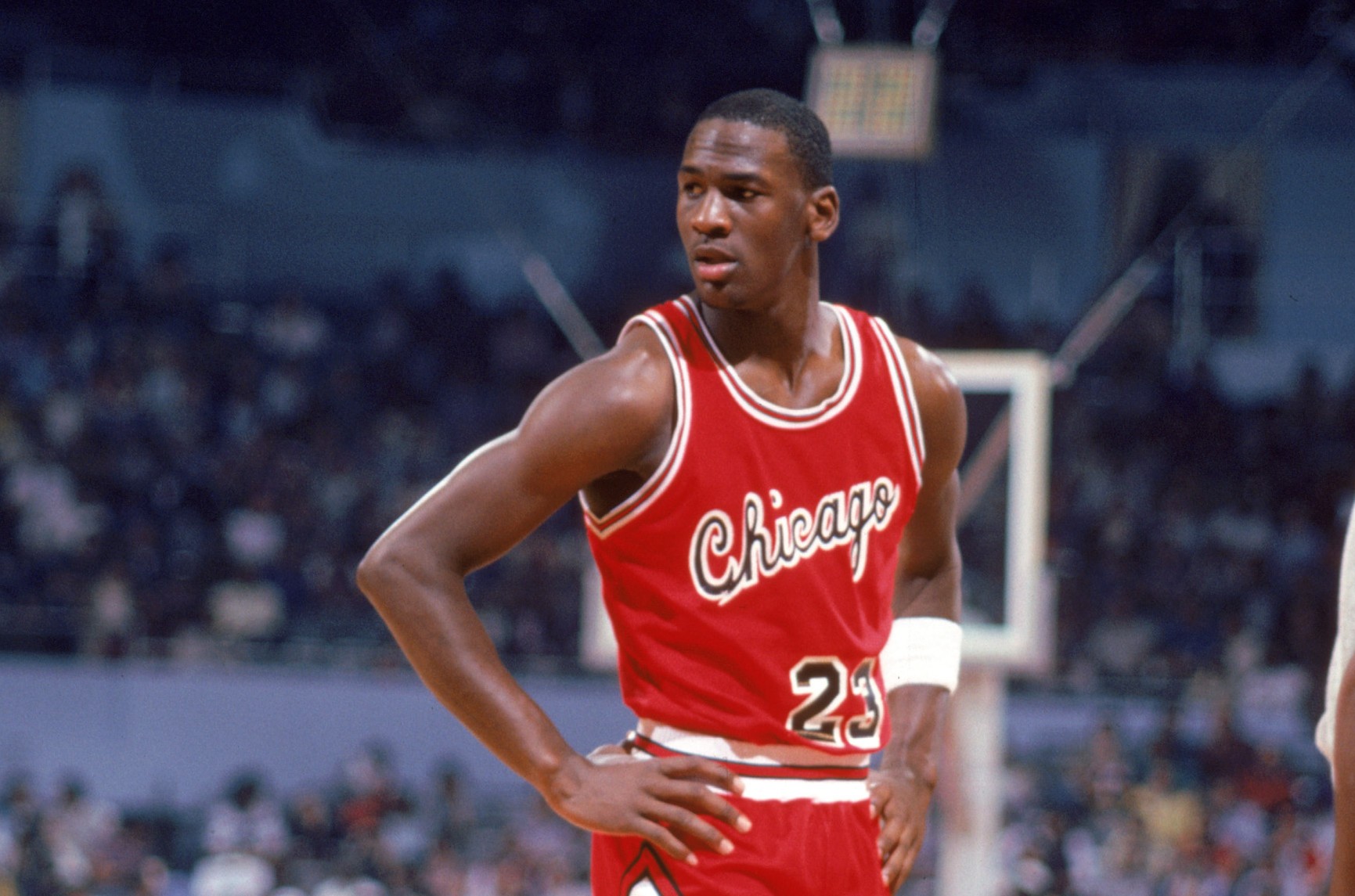 Jordan Official Chicago Bulls Signed Jersey, 1995/96 - CharityStars