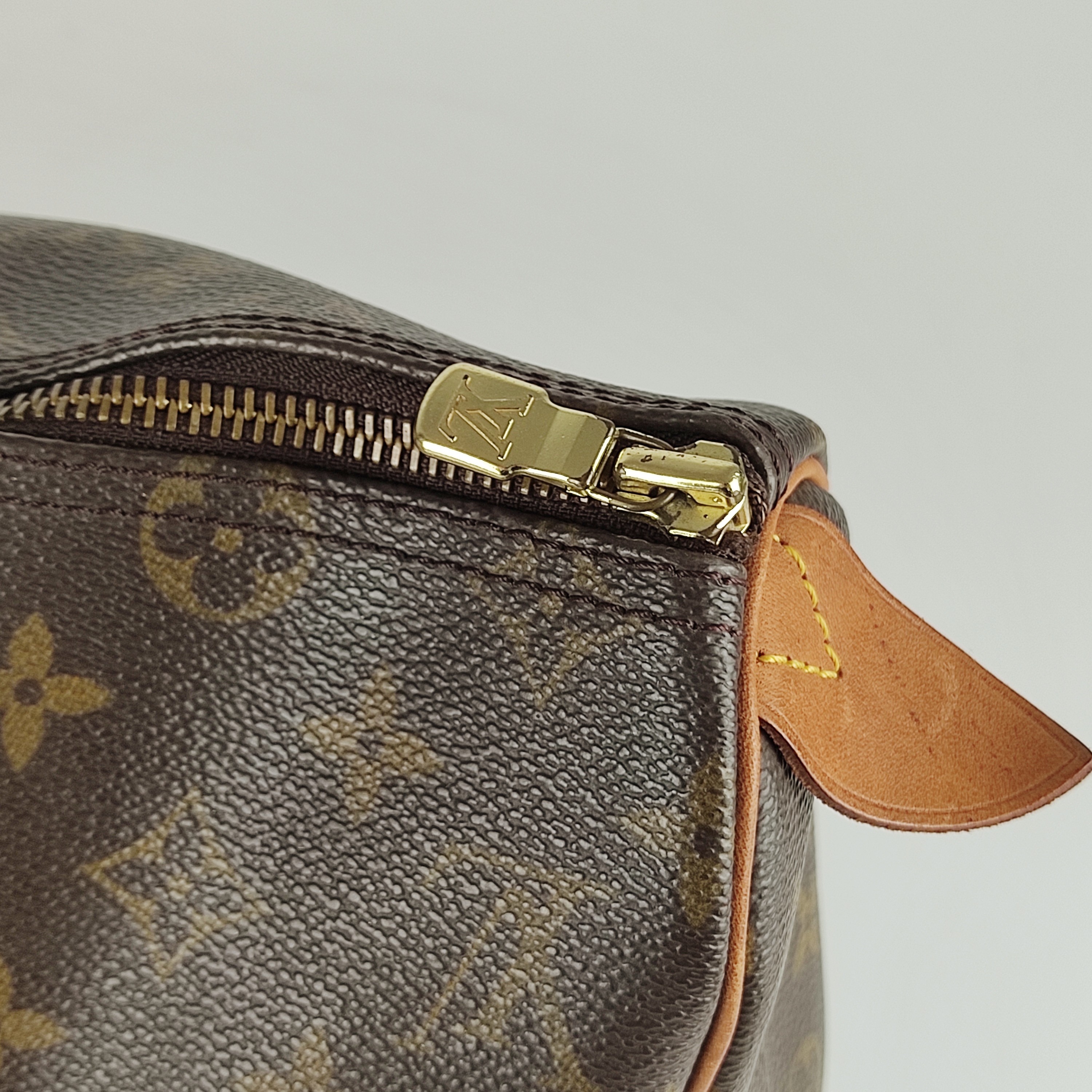 Louis Vuitton Flanerie Shoulder Bag - CharityStars