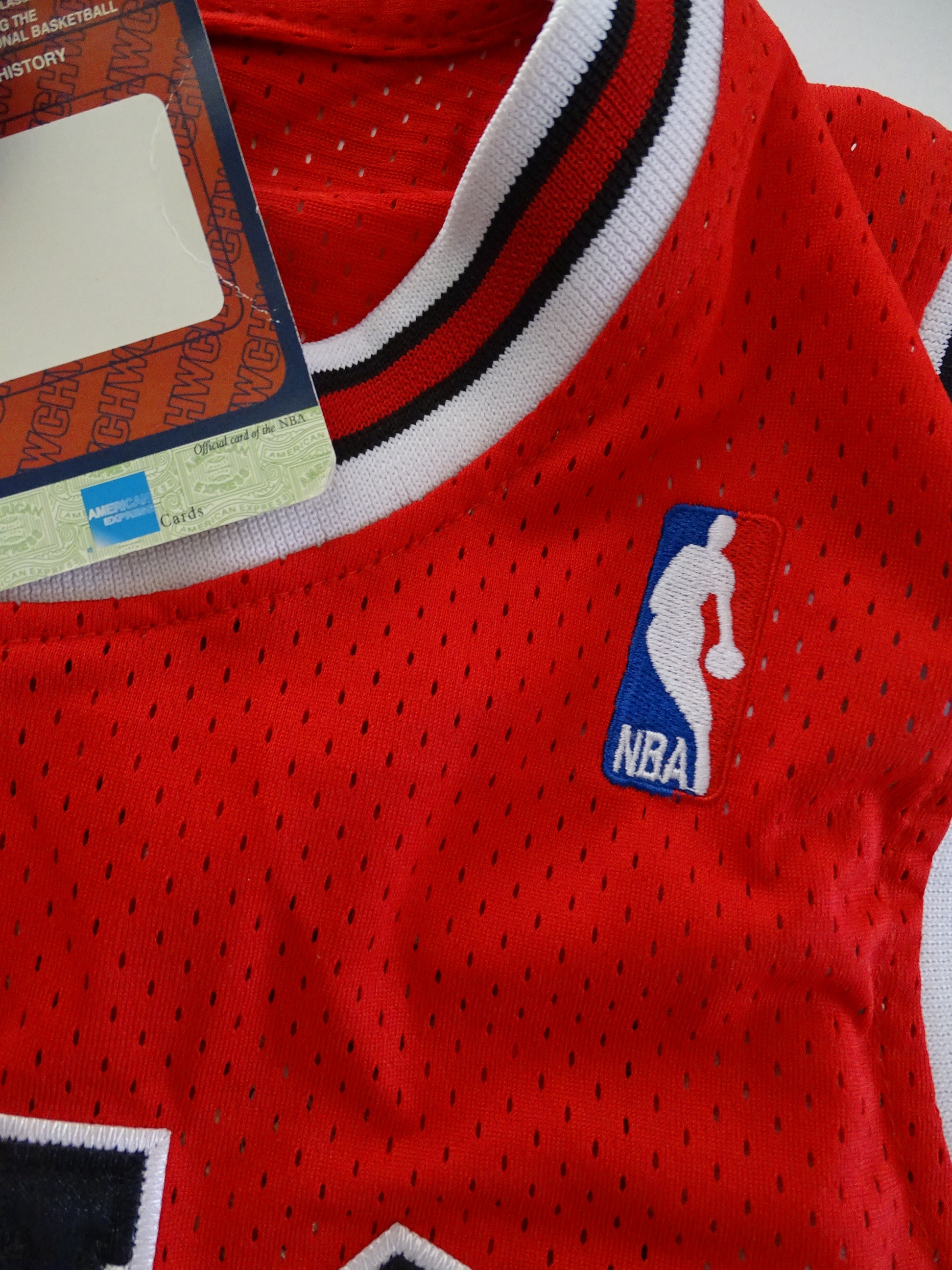 Rodman's Official Chicago Bulls Signed Jersey - CharityStars