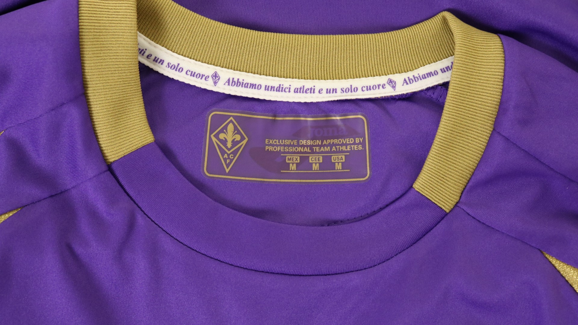 Borja Valero's Official Fiorentina Signed Shirt, 2012/13 - CharityStars