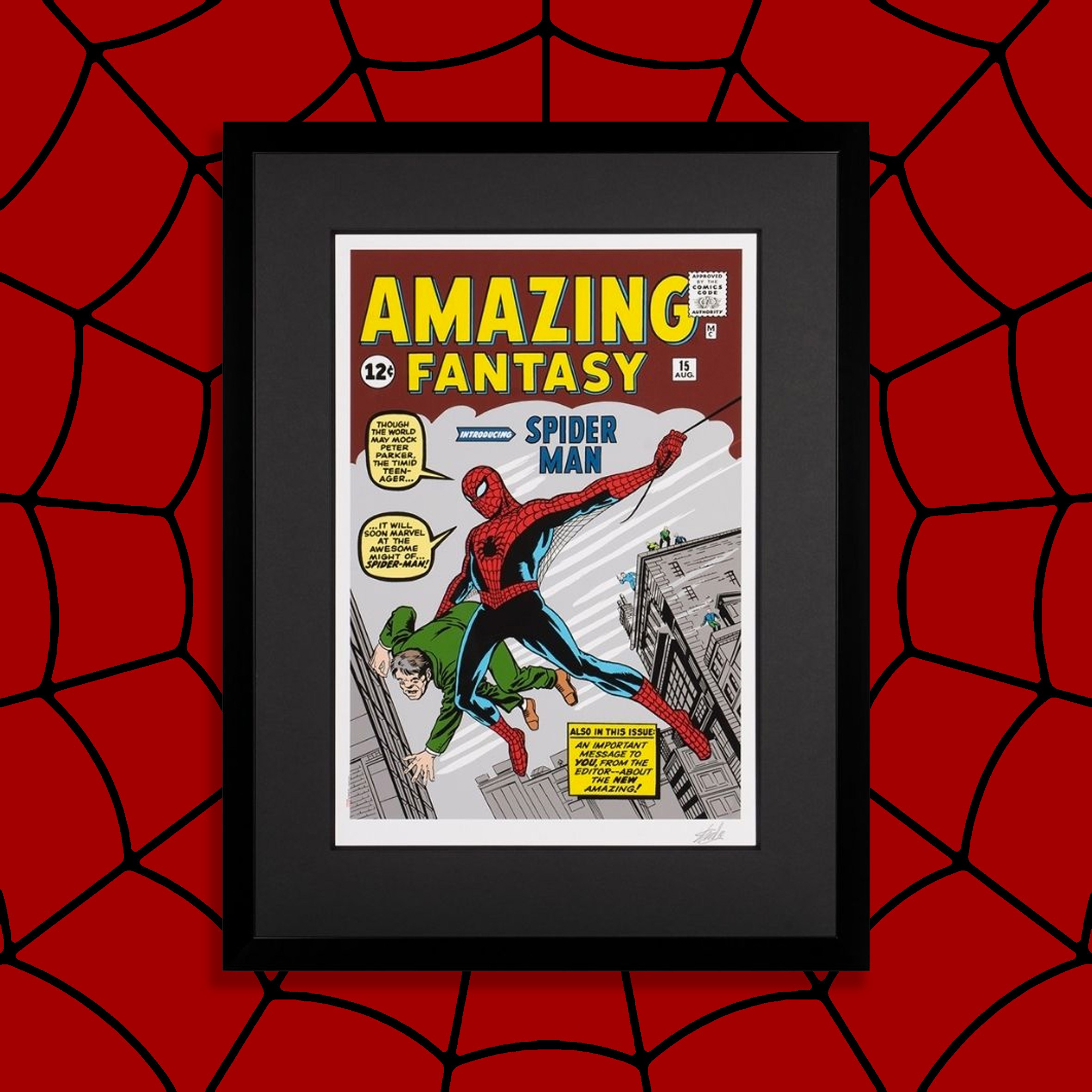 Stan Lee Marvel Signed & Framed 24x36 Amazing Fantasy Spider