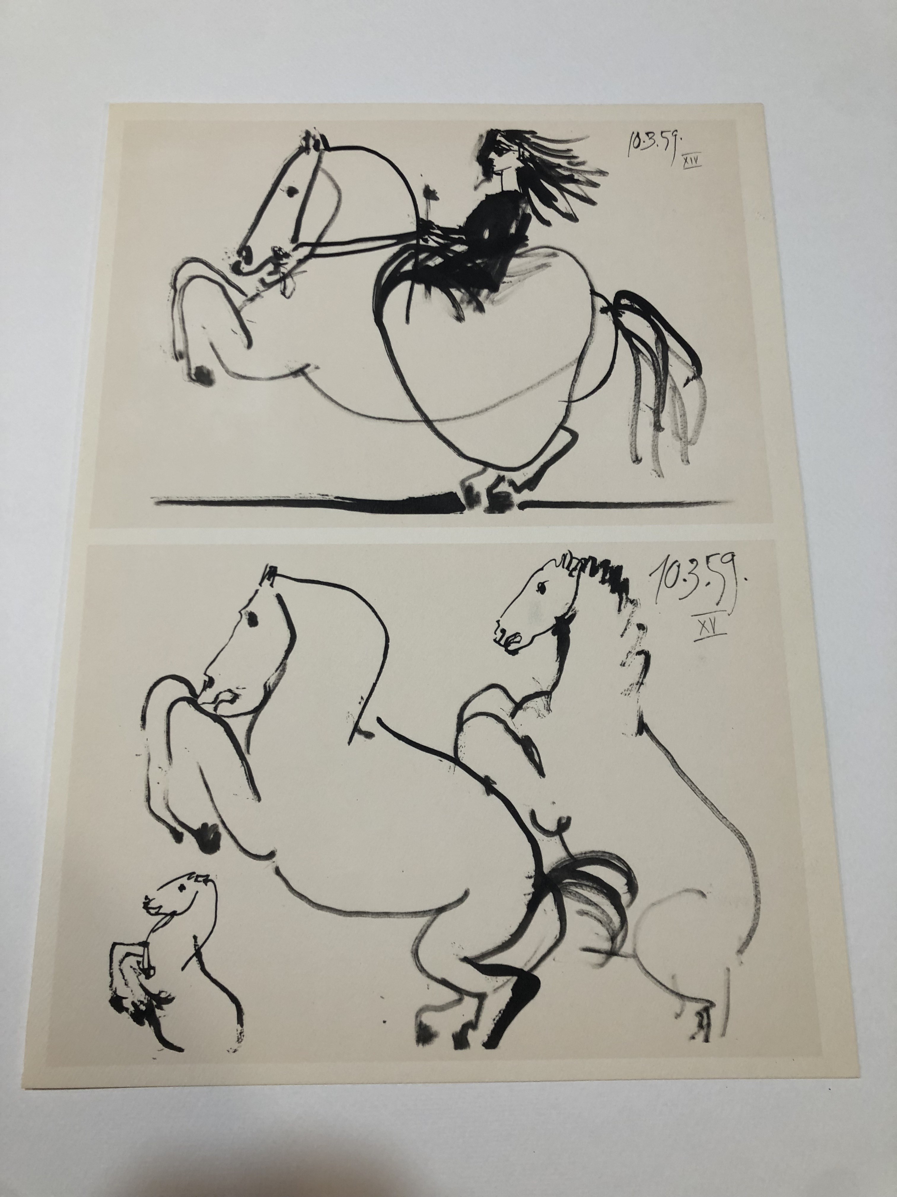 Original Toros Y Toreros Lithograph Series By Pablo Picasso Signed Charitystars