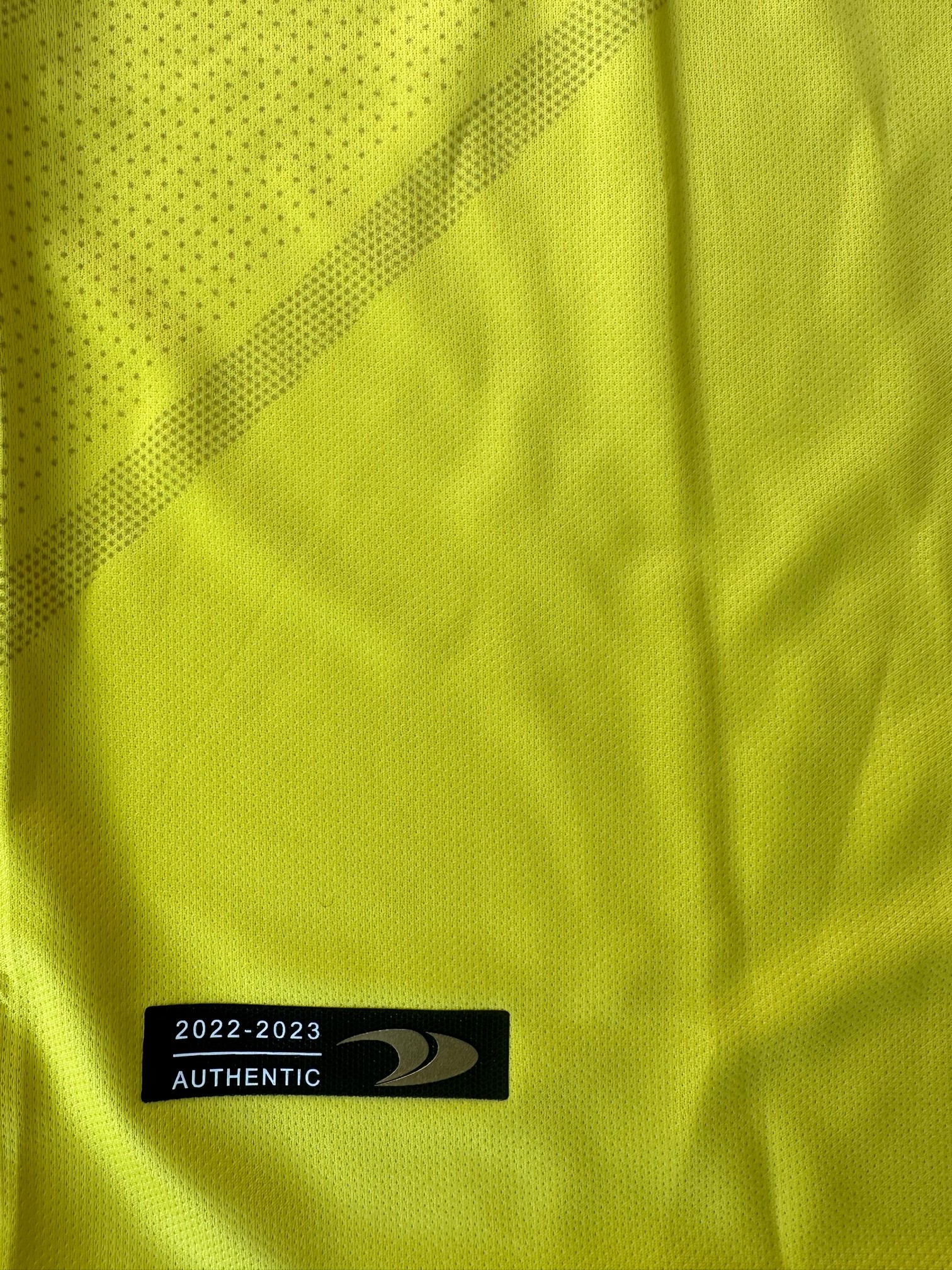 Ronaldo's Al Nassr Match Shirt, 2022/23 - CharityStars